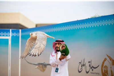 نادي الصقور السعودي يسدل الستار على سباق الملواح بتتويج 60 فائزاً…